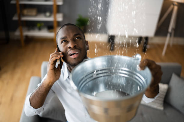 Best Local water damage restoration  in Smyrna, TN