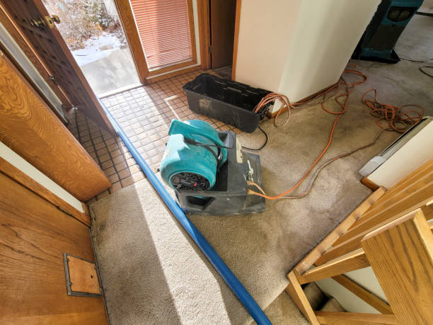 Best Residential water damage restoration  in Smyrna, TN