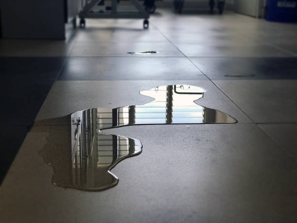 Best Professional water damage repair  in Smyrna, TN