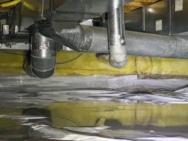 Best Water damage cleanup near me  in Smyrna, TN