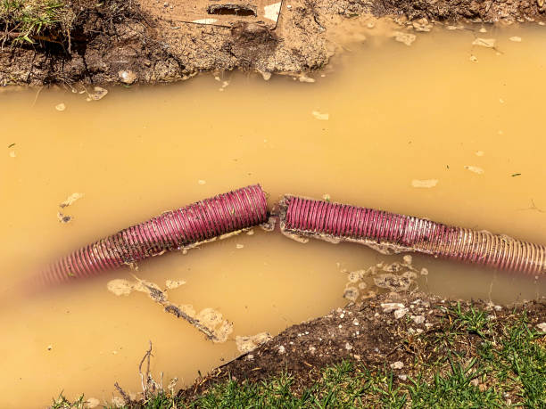 Best Flood damage cleanup  in Smyrna, TN