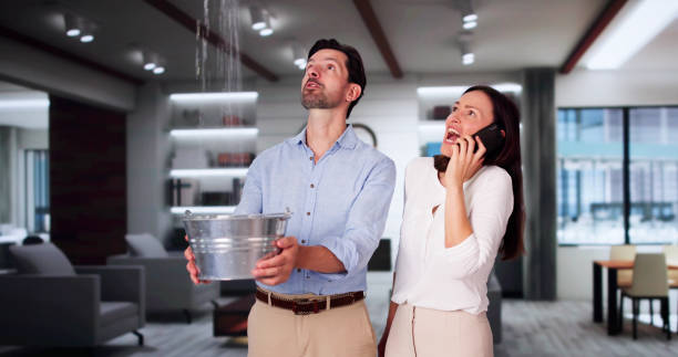 Best Water damage mitigation services  in Smyrna, TN