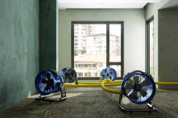 Best 24-hour water damage restoration  in Smyrna, TN